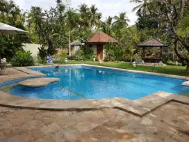 for Rent House with big swimmingpool and big garden