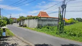 Tanah View Sawah Raya Veteran Tiying Tutul Mengwi