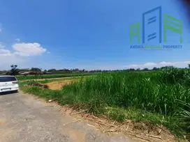 Sawah belakang pom bensin teras