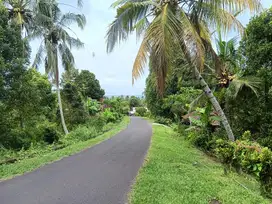 Tanah Sawe Rangsasa Jembrana Negara Bali