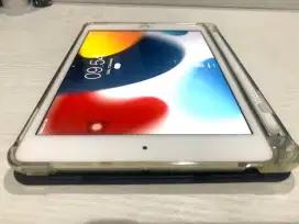 Ipad mini 4 128Gb