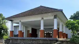 Hot Sales villa in Lovina Bali