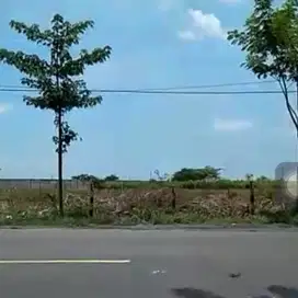 Dijual Tanah Industri di Tuban nol Jalan Raya Pantura