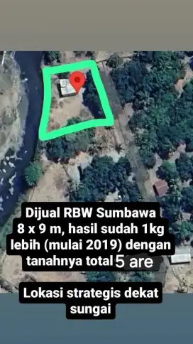 Dijual Rumah Sarang Walet lokasi strategis