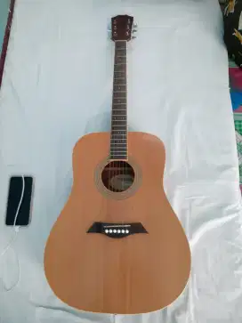 Gitar hofman mulus