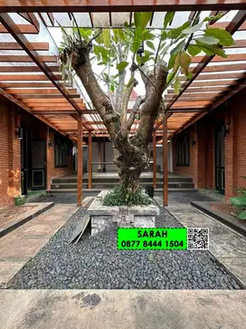 Rumah Joglo dgn Pendopo di Senayan Bintaro sektor 9-14316