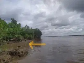 Tanah kebun kalimantan tengah  pinggir sungai kapuas