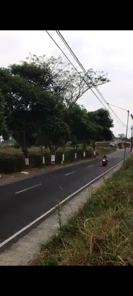 Tanah Poros Jalan Raya Tumpang Arah Gubuk klaka Malang