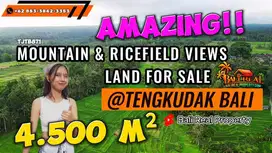 Beautiful Rice Fields and Mountain view in Penebel Tabanan