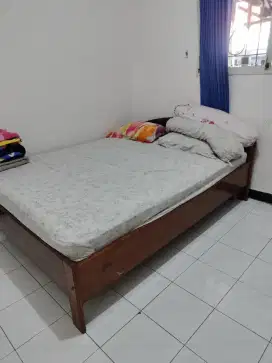 Dipan kayu jati dan springbed