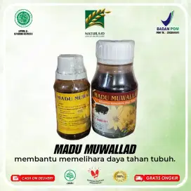 Natur aid madu muallad dan habatusauuda