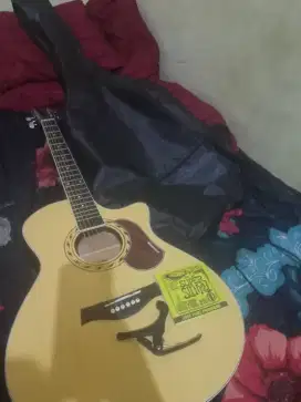 Gitar akustik fishman