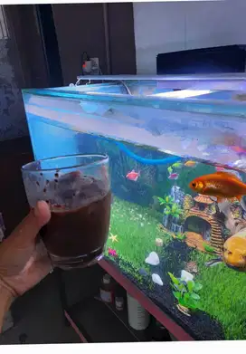 JUAL AQUARIUM UK. 100×50×50