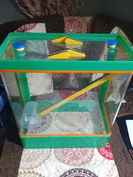 Box es buah aquarium