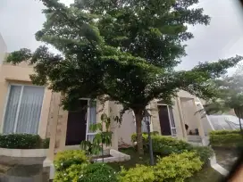 Dikontrakkan rumah cantik msk hanya bawah baju saja