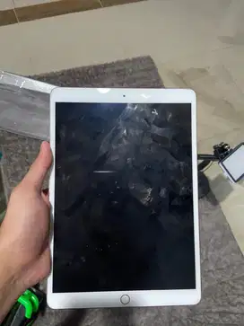 Ipad pro 10,5 inch 64gb wifi cellular