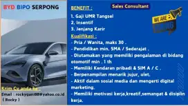 Mencari sales marketing otomotif