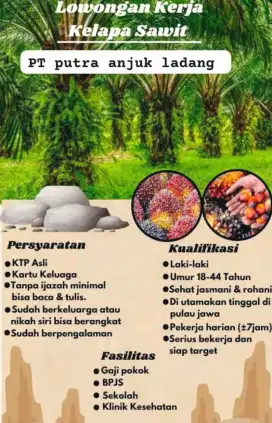 Lowongan kerja tanpa ijasah