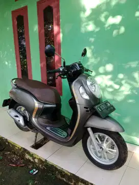 Motor scoopy stylis