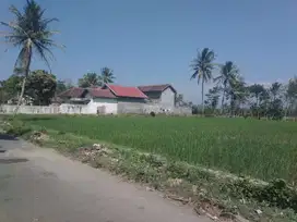 Dijual Rumah +  Sarang burung Walet di Jawa Timur