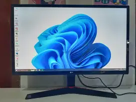 LG IPS Gaming Monitor 24