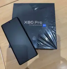 VIVO X 80 PRO Mulus