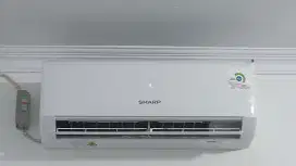 AC Sharp 1/2pk low watt