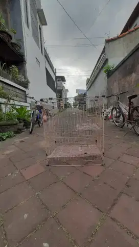 Kandang kucing masih layak pakai