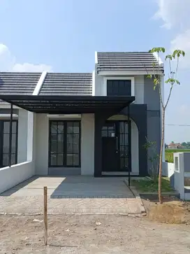 Rumah DP 0 Rupiah Subsidi Developer