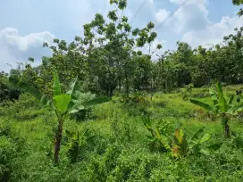 Jual Murah Tanah di Cicenang Cigasong Majalengka