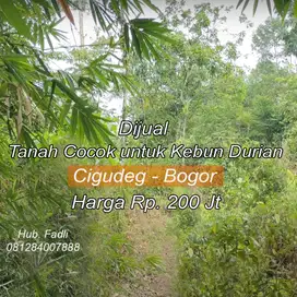 Dijual tanah murah untuk berkebun Duren buah 100K/ meter cigudeg Bogor