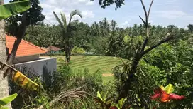 Dijual tanah kebun murah sengan vew sawah di tabanan bali