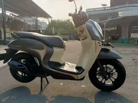 Scoopy fashion brown 2024