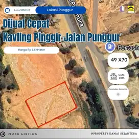 kavling punggur 3552m2 ( 49x70m2 )