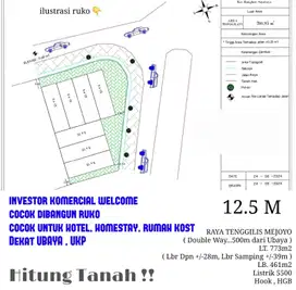 JUAL RUMAH HITUNG TANAH RAYA TENGGILIS MEJOYO DOUBLE WAY