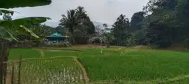 Tanah sawah produktif air subur akses jalan mobil