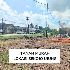 jual tanah sekojo ujung