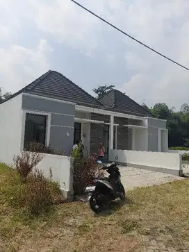 Jual Perumahan di Jombang Mojowarno, Promo Tanpa DP