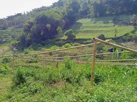 Tanah Cocok Buat Pertanian, Green House Pasirjambu Ciwidey Bandung