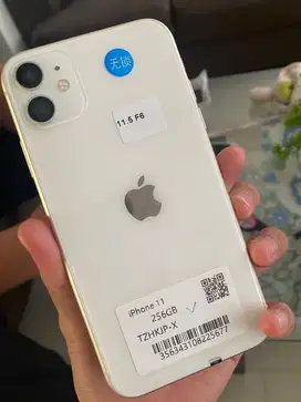 Iphone 11 256 gb inter