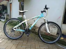 Bianchi kuma 4600