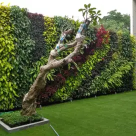 Taman vertikal garden asri