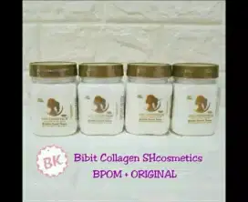 Bibit collagen bpom