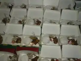Catering makan siang untuk karyawan