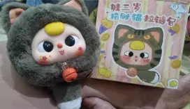 Lucky Cat zipper