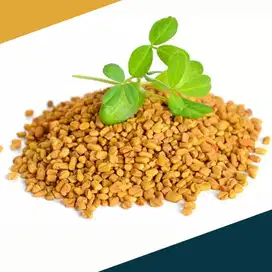 Fenugreek biji klabet murah 250 gram