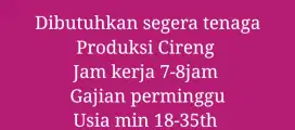 Dibutuhkan segera tenaga produksi