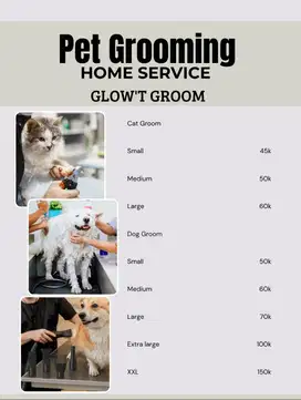 Grooming cat&dog