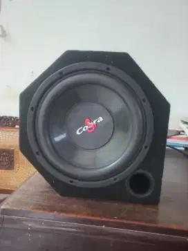 Subwoofer 10 inc mulus