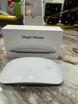 magic mouse lightening